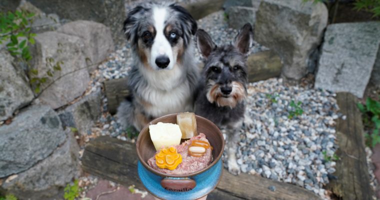 Supplements for Active Dogs